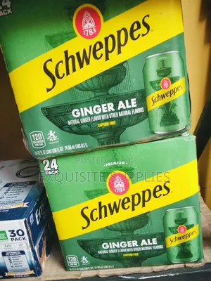 Schweppes Ginger Ale by 24