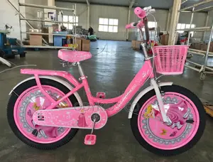 Girls Princess Character 20inchs Bicycle for 9 to 14 Years