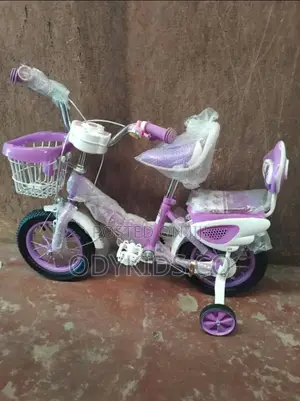 Princess Bicycle for Girls for 4 to 7 Years