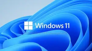 Operating System and Software Installation.
