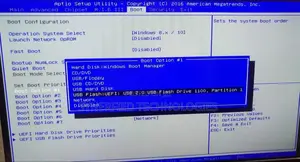 Operating System and Software Installation.
