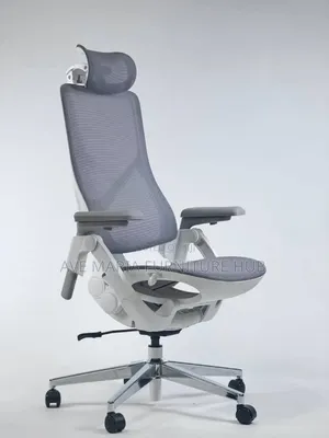 Executive Office Mesh Chair.
