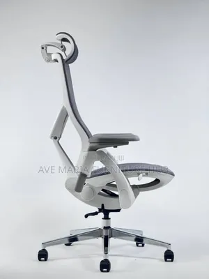 Executive Office Ergonomic Mesh Chair