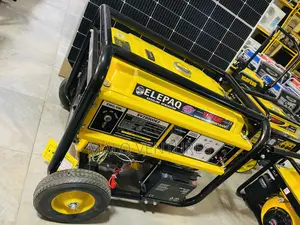 12kva Elepaq Constant Generator Sv22000e2