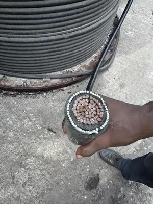 1cx500mm Armored Cables