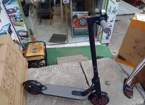 Adult Electric Scooter