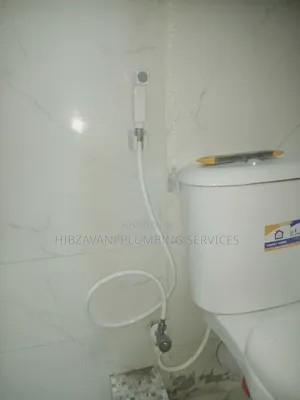 Plumber in Lagos