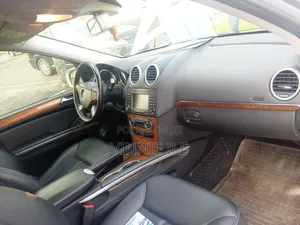 Mercedes-Benz GL-Class GL 450 2008 Silver