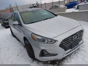 Skeleton Bumper for Sonata 2018 Normal One Available