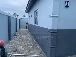 Professional Painting Services