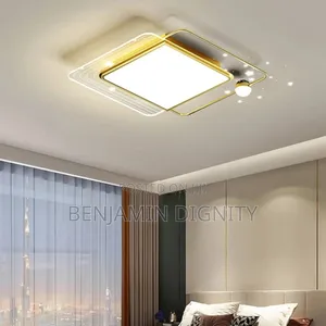 Modern Led Ceiling Flush Light