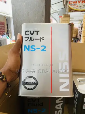 Engine for All Nissan 4l Oil Ns-2