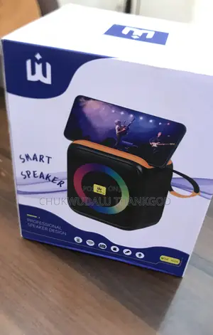 W29 Wireless Portable Speaker