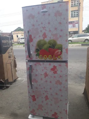 Inverter Respoint Standing Fridge