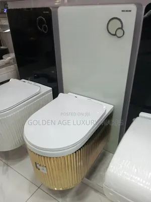 Gold and White Surface Concealed Wc