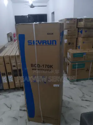 Best Value for Money - Skyrun BCD- Refrigerator
