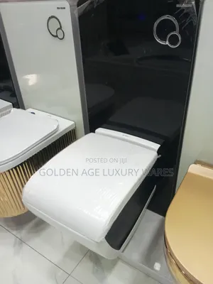 Black and White Luxury Surface Wc