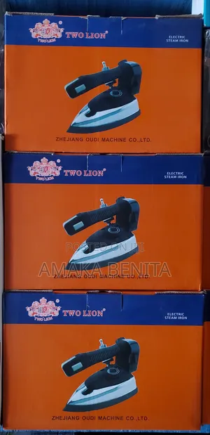 Two Lion Steam Iron