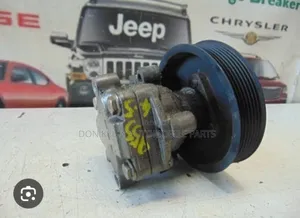 Porsche Cayenne Steering Pump