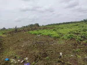 Half Plot 30ft/120ft Ijegun New Expressway