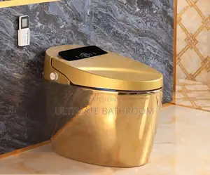 Luxury Gold Intelligence Watercloset