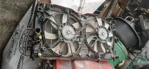Complete Radiator Toyota Pirus and Lexus Ux 250 2020