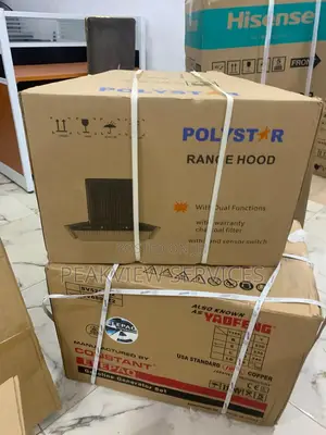 Polystar Pv-6009bd: Durable Metal Motors Fan Range Woods