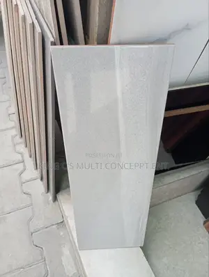 20 X 60 Spanish Wall Tiles