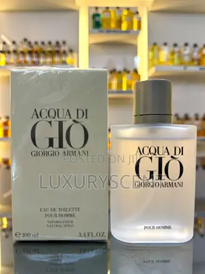 Aqua Di Gio Designer Perfume (Copy)