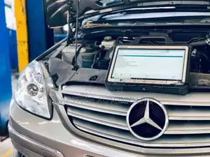 Benz Diagnostics and Reset