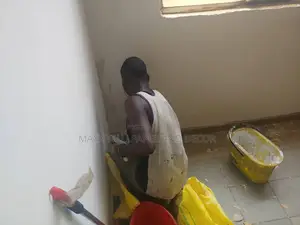 Maximize Your Productivity With Mr Putty Screeding Plaster