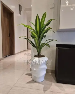 Artificial Dracaena Plant Potted With 42cm Fiberglass Pot