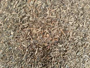 Green Tea Pack 1kg
