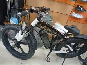 Big Tyre Electric Bike