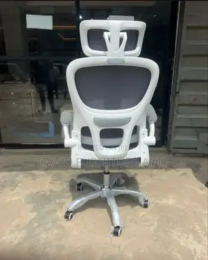 Office Ergonomic Chair