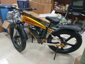 Big Tyre Electric Bike