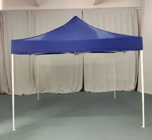 10 by 10 Foldable Canopy