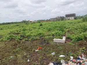 Half Plot of Land Close to the Ijegun Festac Expressway