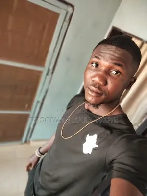 Godwin Louis Okoye