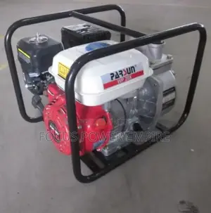 Original Wp20x Parsun Water Pump 2inche Can Use for Farm