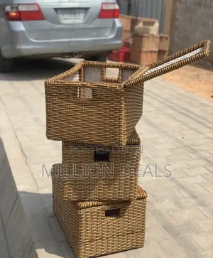 Raffia Laundry Unique Basket With Cover