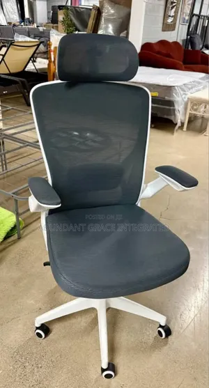 Ergonomic Office Chair.