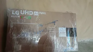 65 Inches Voice Activated 350