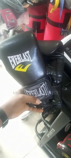 Everlast Hand Gloves