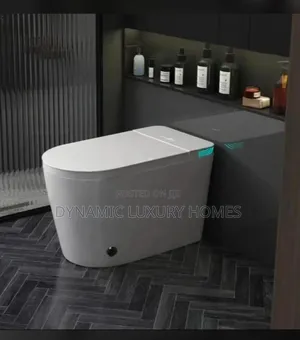 Luxury Smart Water Closet