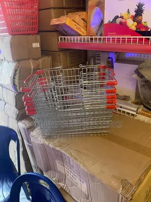 Stainless Hand Basket