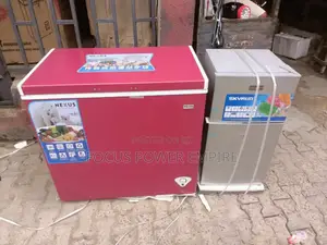 Original Nexus Freezer 300litts Complete Smart Cool Up Door