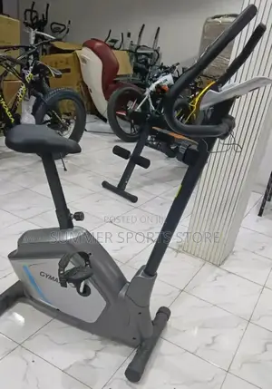 High Performance Magnetic Bike
