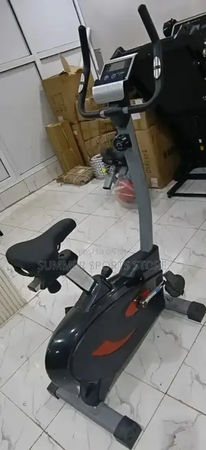 Luxury Big Magnetic Stationary Bike