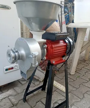 Electric Grain Spice Wet and Dry Grinder